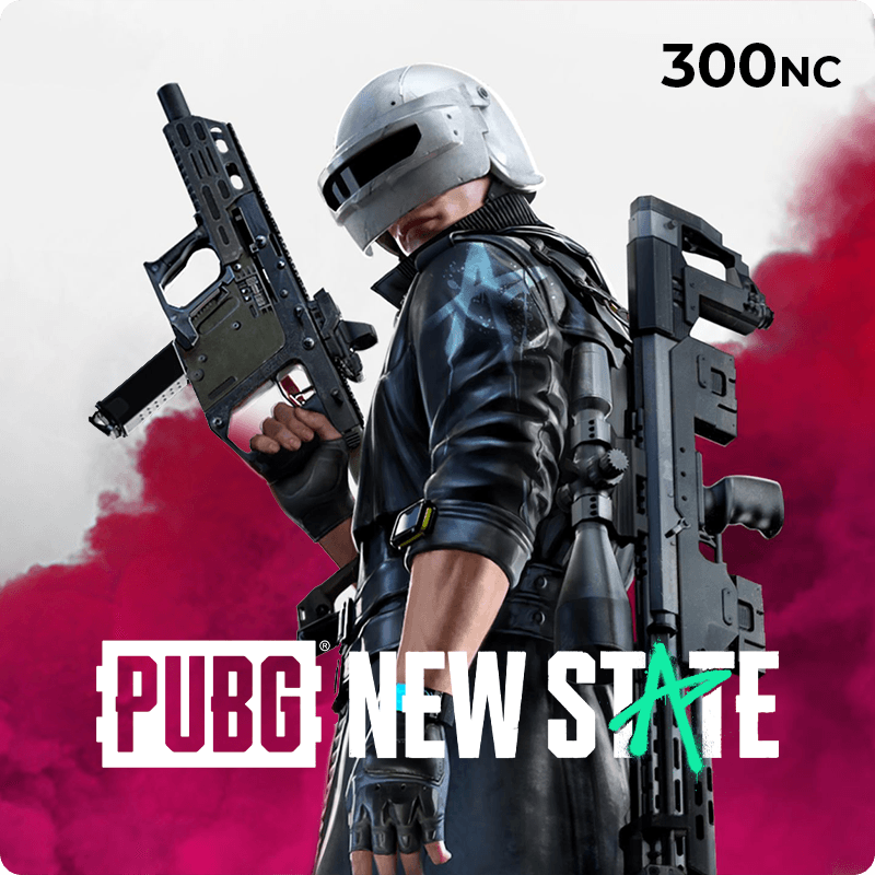 PUBG new state 300 NC